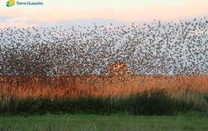 Basilicata, Bardi: &laquo;L&rsquo;ambiente &egrave; l&rsquo;identit&agrave; della nostra regione&raquo;