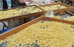 Il caso orecchiette di Bari vecchia, quale soluzione proporresti?