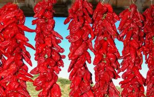 Basilicata, le eccellenze assediate dalle imitazioni