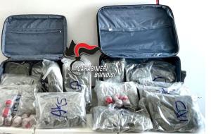 Fasano, alla fermata del bus con 20kg di droga in valigia: due arresti