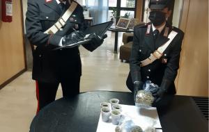 Matera, in casa marijuana e piante di canapa: arrestato