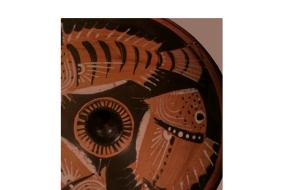 Taranto, al MArTA progetto FISH & C.H.I.P.S con lo sguardo a Corf&ugrave;