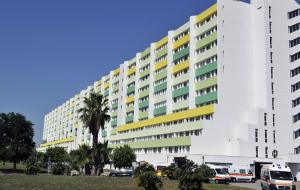 Brindisi, rischiano la vita per una fetta di tonno