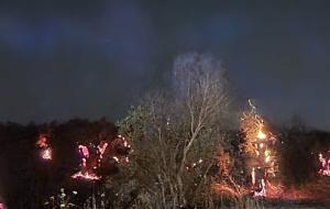 Xylella, in Salento &egrave; allarme incendi tra ulivi secchi