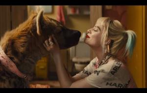 Birds of Prey e la fantasmagorica rinascita di Harley Quinn