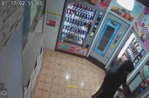 Barletta, ragazzini scassinano distributori automatici con calci e pugni: incastrati dalle telecamere