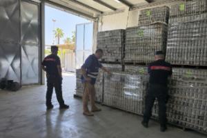 Cerignola, sequestrati 176mila barattoli di passata di pomodoro senza etichetta in un deposito