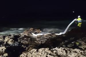 Petrolio sugli scogli: scongiurato disastro ambientale a Porto Cesareo