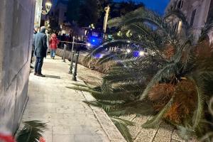 Paura a Trani, il vento forte fa cadere una palma e un muro: colpite auto ma nessun ferito VIDEO