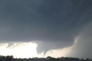Tromba d’aria tra Oria e Torre Santa Susanna, alberi divelti e muri di recinzione crollati