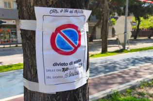 Foggia, chiuso al traffico Viale Europa: verifiche sugli alberi a seguito del maltempo