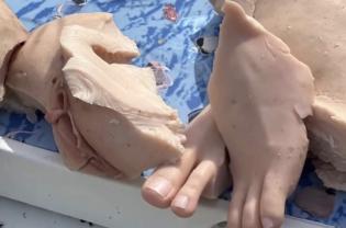 Paura a Porto Cesareo, in un frigo abbandonato trovate dei &laquo;resti&raquo; tra cui un piede: ma &egrave; solo una bambola di silicone