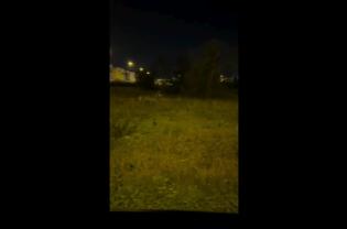 Lupo avvistato nella zona industriale di Melendugno: il video dell'ululato 