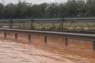 Puglia sotto l'acqua: alberi caduti, smottamenti e strade impraticabili. Disagi anche ai treni  VIDEO/FOTO
