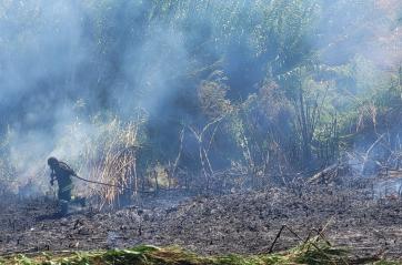 Brindisi, incendio domato dai Vigili del fuoco a canale Patri: &egrave; la quarta volta in pochi giorni