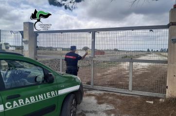 Piscine, chiosco e area picnic abusivi: sequestri a San Cataldo in un maneggio