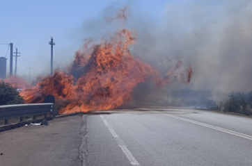 Fiamme e fumo sulla Sp 264 Presicce Acquarica: viabilità impossibile, sul posto vigili del fuoco VIDEO