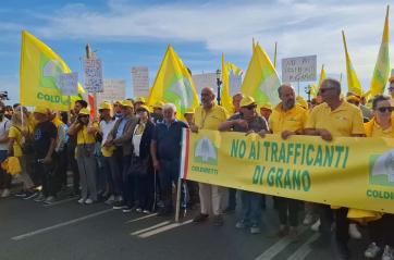 Coldiretti, agricoltori a Bari in protesta contro il crollo del prezzo del grano: lungomare bloccato