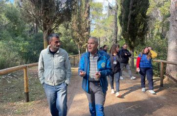 «Nei prossimi 5 anni più aree verdi e boschi»: la proposta di Decaro sulla forestazione regionale VIDEO