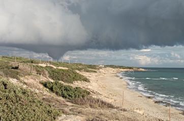 Tromba d'aria si abbatte sulla costa nel Tarantino: alberi sradicati a Manduria e San Pietro in Bevagna