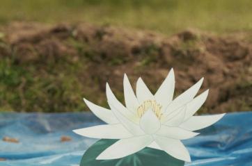 A Lecce la mostra &laquo;Falling&raquo; di Driant Zeneli: la caduta come trasformazione, politica e realismo magico