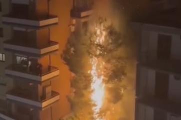 Foggia, albero prende fuoco dopo i fuochi d&rsquo;artificio di Capodanno: il video