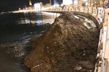 Bari, sul molo San Nicola si rimuove la posidonia accumulata: &laquo;La sua presenza &egrave; indice di buona salute delle acque&raquo;