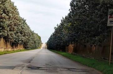 Dopo la tragedia sulla Acquaviva-Adelfia la denuncia alla Citt&agrave; Metropolitana di Bari: &laquo;Sp83 insicura, servono interventi urgenti&raquo;