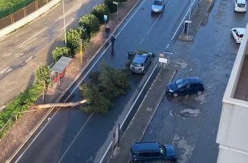 Vento forte su Taranto, primi danni in citt&agrave; e in provincia