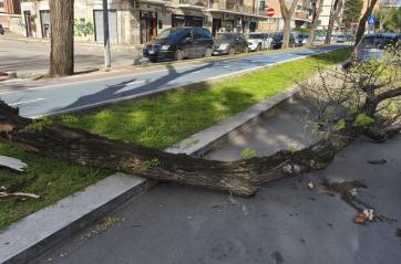 Vento forte nel Foggiano,