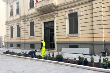 Bari, in via Manzoni il cantiere va avanti: cominciata la piantumazione tra corso Italia e via Crisanzio