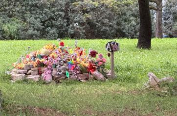 Bari, il cimitero dei cani del clan a Japigia sar&agrave; dismesso: via le 56 tombe abusive