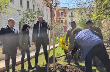 Bari, in piazza Cesare Battisti piantato un albero in ricordo delle vittime innocenti di mafia