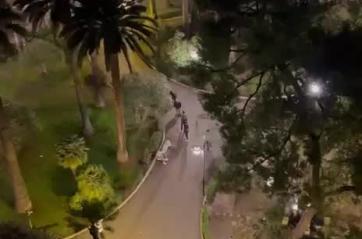 Bari, ancora tensione in Piazza Umberto: scoppia una rissa per un gatto, residenti esasperati