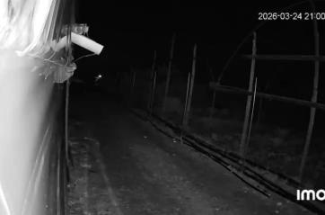 Leverano, tornano i predoni delle serre: 10 raid messi a segno in tre settimane, agricoltori in ginocchio