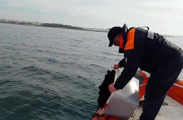 Porto Cesareo, blitz contro il bracconaggio: sequestrati 800 ricci di mare