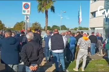 «Il grano non vale più»: agricoltori in piazza a Foggia contro il crollo dei prezzi