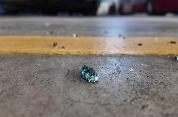 Taranto, dopo la sassaiola contro un bus Kyma mobilit&agrave; sospende la linea 15 per Lido Azzurro dalle 19 in poi