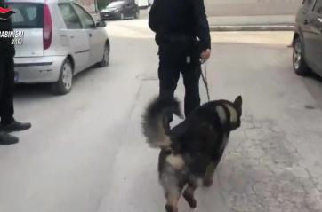 Nascondeva in casa armi, droga e contanti: a Triggiano arrestato 23enne sorvegliato speciale VIDEO