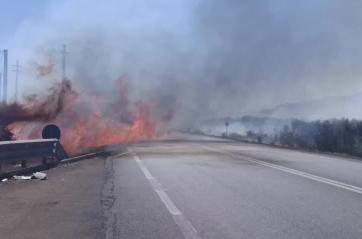 Fiamme e fumo sulla Sp 264 Presicce Acquarica: viabilità impossibile, sul posto vigili del fuoco VIDEO