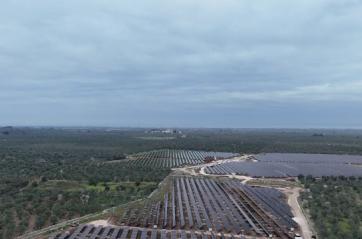 Puglia, una legge per favorire gli impianti a energie rinnovabili: oggi l'ok in giunta. L'ira degli ambientalisti