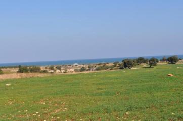 Dune costiere, c'&egrave; il progetto di un resort a 5 stelle: l'area di oltre 140 ettari venduta a un immobiliarista romano