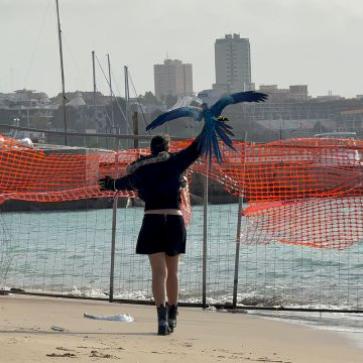 La foto del giorno dell'8 gennaio 2026