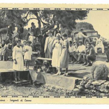 La foto del giorno del 29 gennaio 2026