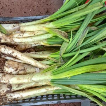 La foto del giorno del 4 febbraio 2026