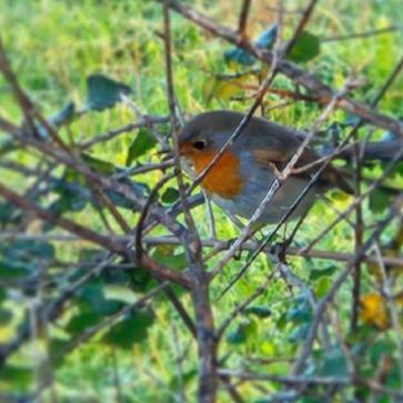 La foto del giorno del 12 febbraio 2026