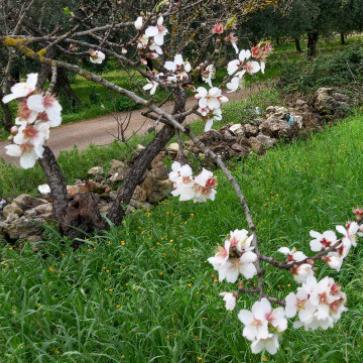 La foto del giorno del 14 febbraio 2026