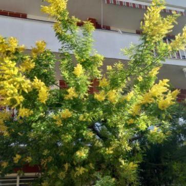 La foto del giorno del 19 febbraio 2026