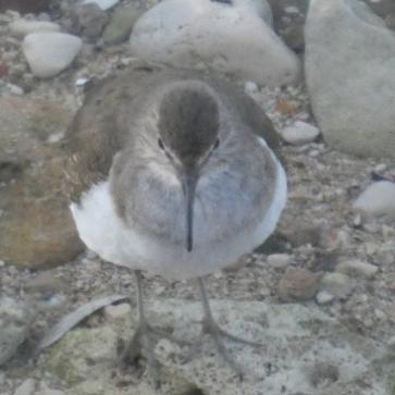 La foto del giorno del 22 febbraio 2026