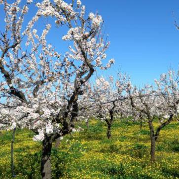 La foto del giorno del 26 febbraio 2026